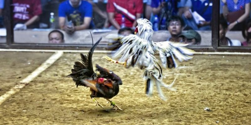 red88 ﻿đăng nhập lô đề uy tín