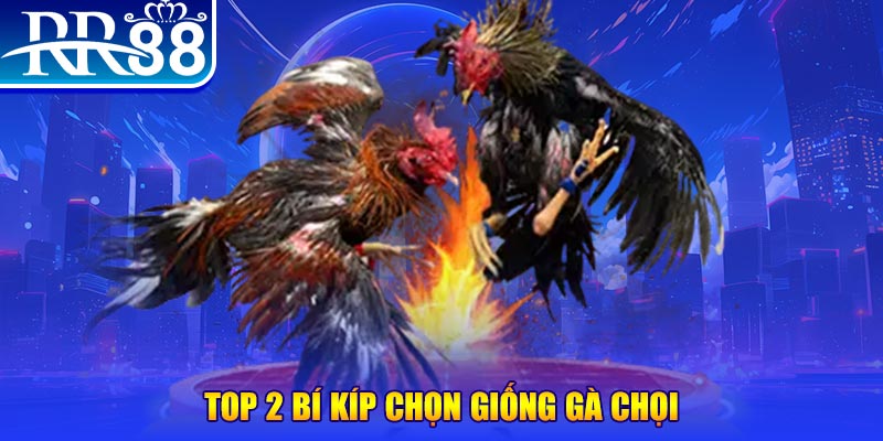 red88 bắn cá h5