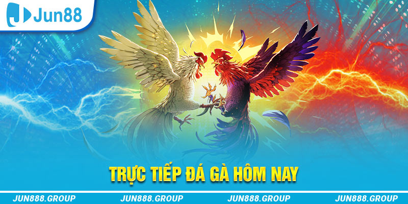 red88 trực tiếp đá gà thomo