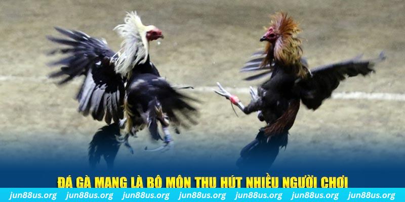 xổ số long an