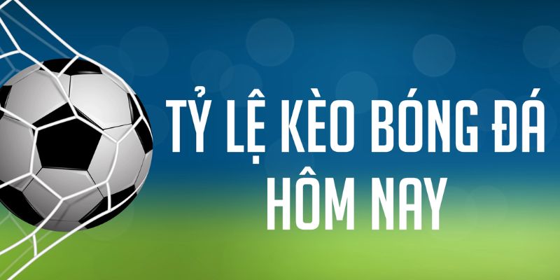 red88 ÁT CHỦ MÁY HOA QUẢ THẦN TÀI