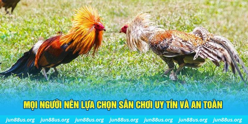red88 Tài Xỉu
