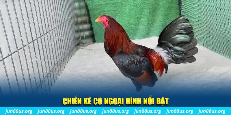 red88 nhạc slot là gì